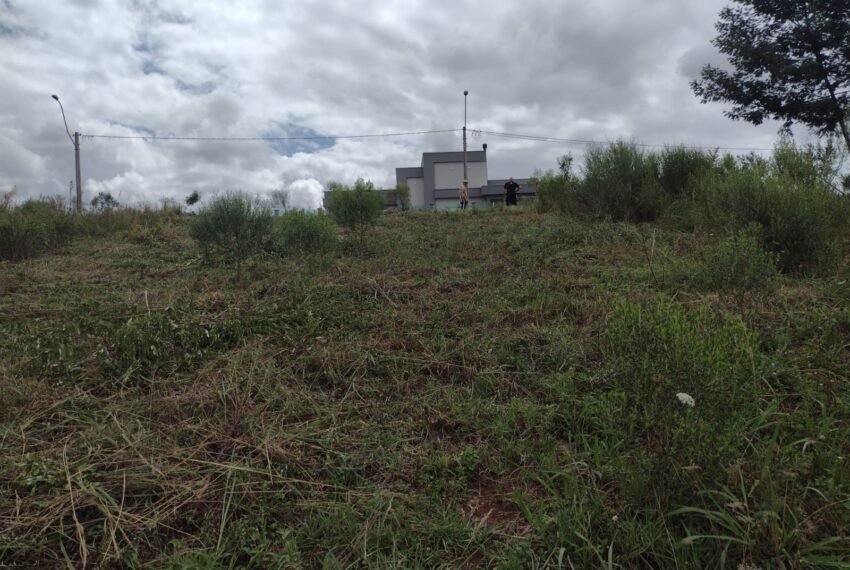 WhatsApp Image 2022-07-03 at 11.45.10 (1)