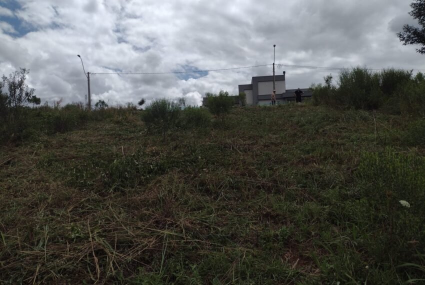 WhatsApp Image 2022-07-03 at 11.45.10 (2)