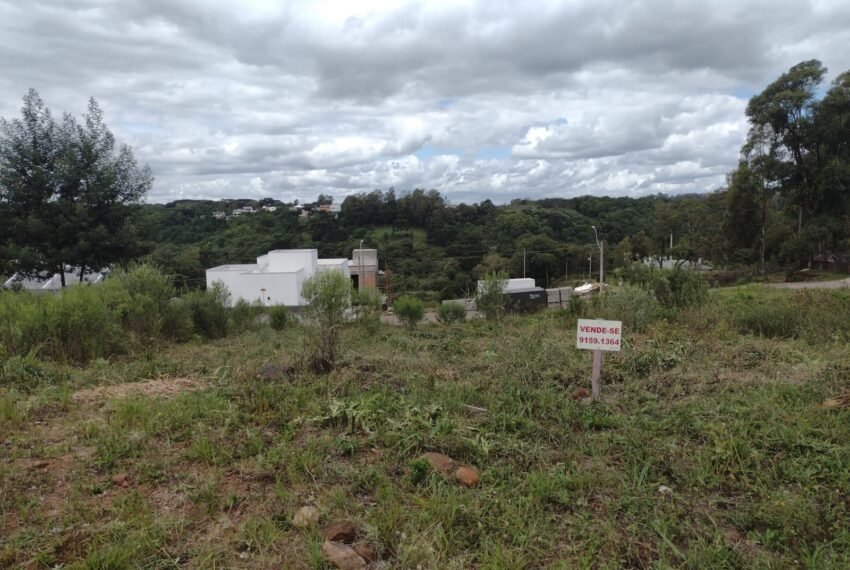 WhatsApp Image 2022-07-03 at 11.45.10 (3)