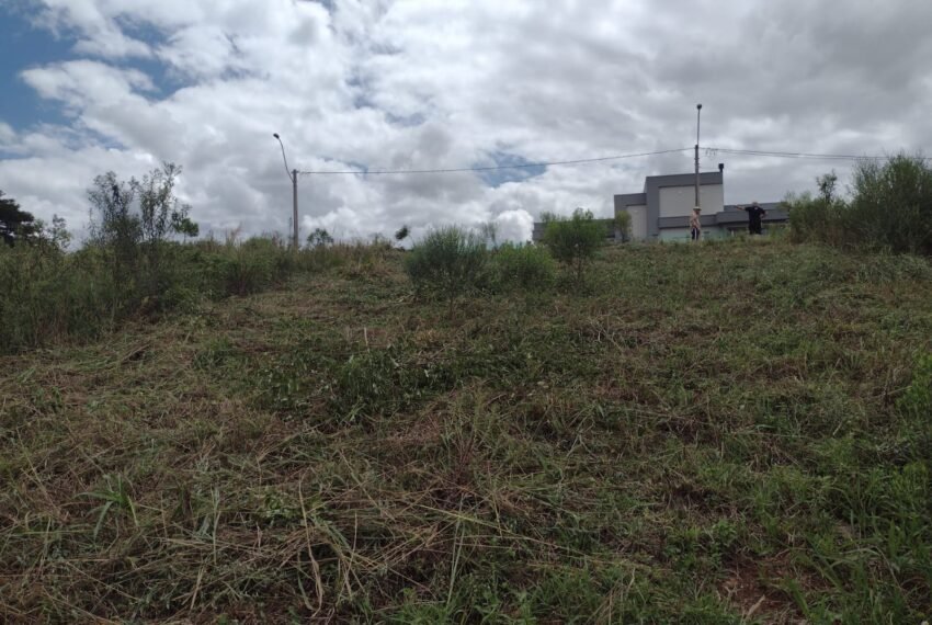 WhatsApp Image 2022-07-03 at 11.45.10