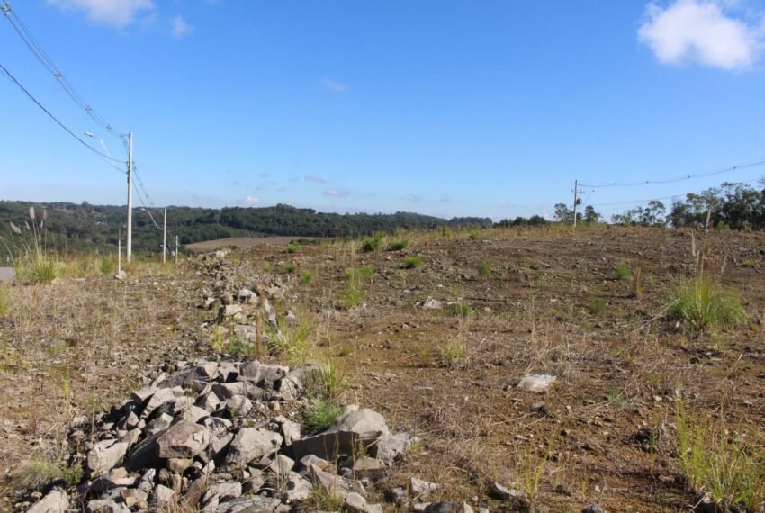 WhatsApp Image 2024-04-12 at 09.22.51 (1)