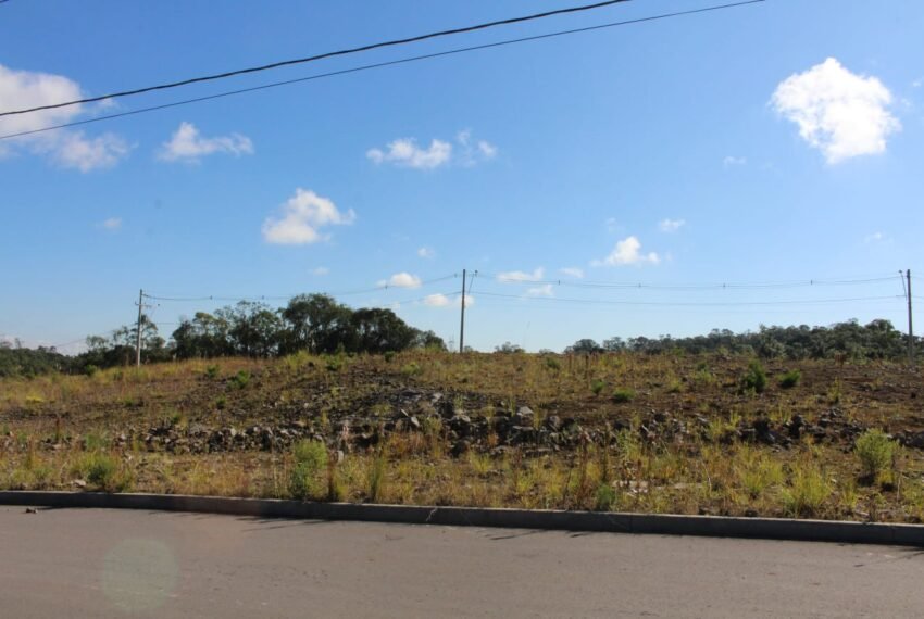 WhatsApp Image 2024-04-12 at 09.22.52