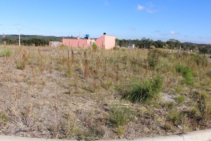 WhatsApp Image 2024-04-12 at 09.22.53